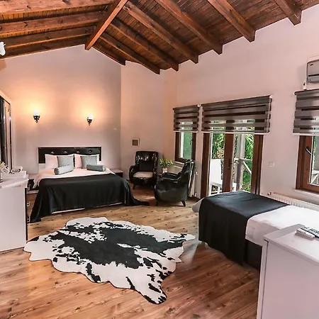 Myhomesapanca * Sapanca